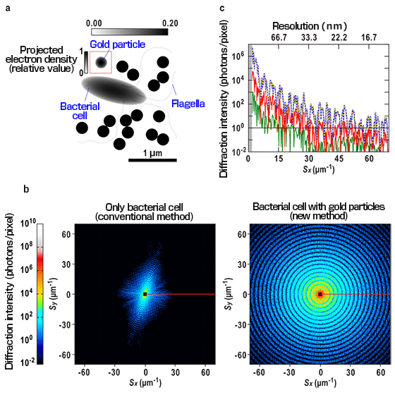 Fig. 2	Test model for our new method and diffraction patterns calculated by computer simulations