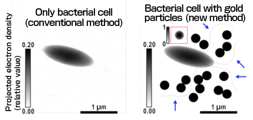 Fig. 3	Comparison of density maps reconstructed by conventional and new methods