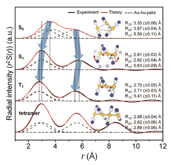 Fig. 2. Observed changes in the molecular structure of the gold complex