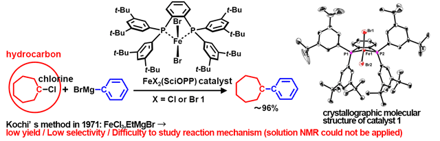 Fig. 1 Nakamura-type iron-catalyzed cross-coupling reactions and crystallographic molecular structure of FeCl2(SciOPP) catalyst 1.
