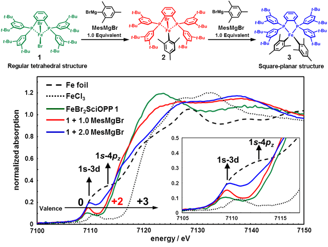 Fig. 2	XAFS analysis of catalytic intermediates generated from reaction between FeBr2(SciOPP) catalyst 1 and magnesium reagent MesMgBr.