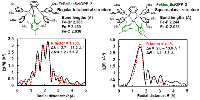Fig. 4	EXAFS spectrum and results of fitting based on X-ray atomic coordinates for THF solution of catalytic intermediates FeBrMes(SciOPP) 2 and FeMes2(SciOPP) 3.