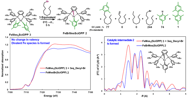 Fig. 5	Conditions of cross-coupling of catalytic intermediates FeMes2(SciOPP) 3 and 1-bromodecane, and XANES and EXAFS spectra of reacting solution.