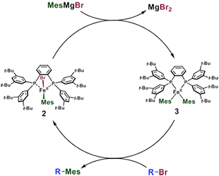 Fig. 6:	Mechanism of FeX2(SciOPP)-catalyzed cross-coupling reactions. 