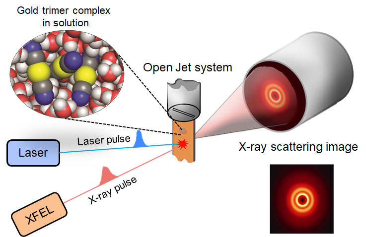 Figure 1. A schematic of the femtosecond x-ray scattering technique. 