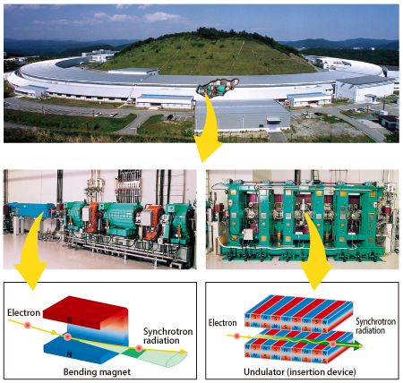 Figure 2. Bending magnets and undulators (insertion devices), which can each produce synchrotron radiation, are situated in the storage ring.