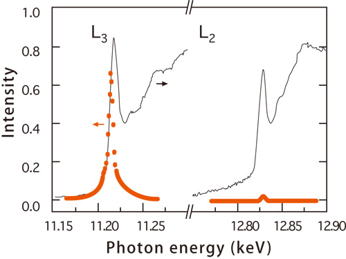 Fig. 2. Energy dependence of the magnetic X-ray diffraction intensity (red circles) and X-ray absorption intensity (black solid lines) of Sr2IrO4.