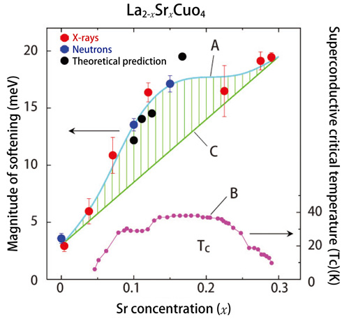 Fig. 2. Relationships among strontium (Sr) concentration, softening of lattice vibrations, and superconductivity critical temperature (Tc).