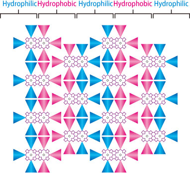 Fig. 1. Schematic representation of the 2D molecular arrangement of an amphipathic molecule.