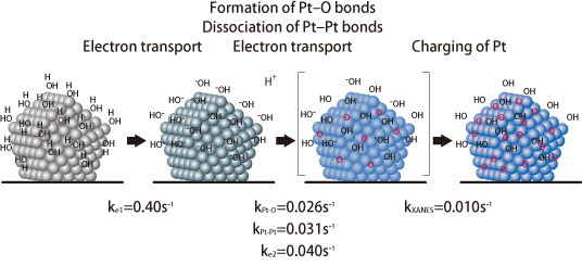 Fig. 3. Mechanisms for the dissolution and deterioration of platinum catalysts.