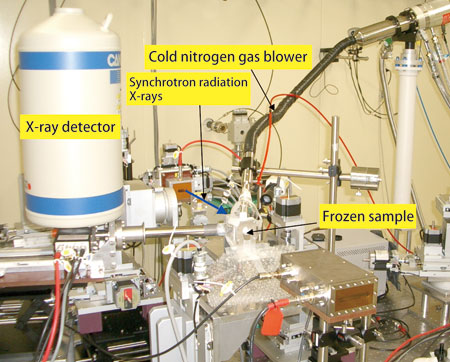 Fig. 1. Experimental apparatus of XRF measurement.