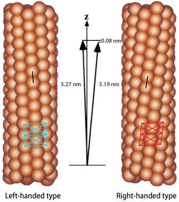 Figure 1.  Two states of flagellar filaments, each of which comprises eleven protofilaments