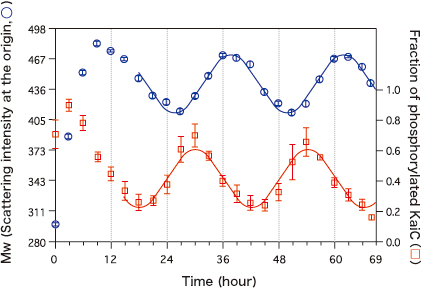 Figure 1. Time courses of the assembly and disassembly processes of the Kai proteins measured with SAXS