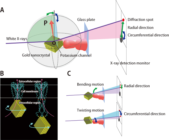 Figure 1. Schematic view of the measurements