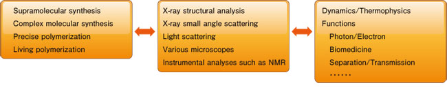 Fig. 2. Relationship between syntheses, structures, and physical properties in soft matter research