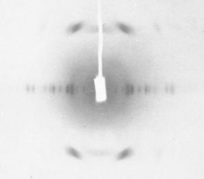 Fig. 3. X-ray image of vinylon fibers reported in the 1950s