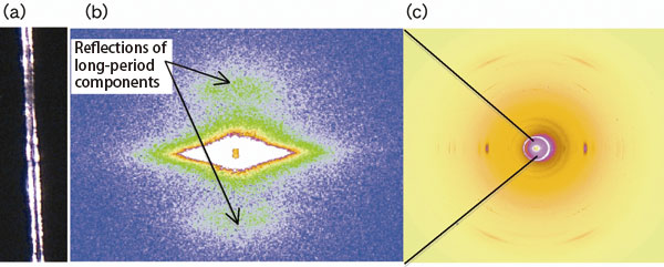 Fig. 4. X-ray crystallographic image of a single vinylon fiber