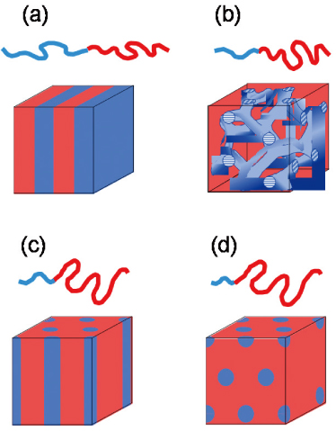 Fig. 1. Transition pattern diagrams of microdomain structures according to the component changes in AB two-component block copolymers