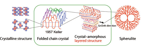 Fig. 1. Folded structures of existing polymer crystals and spherulite