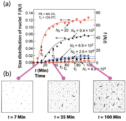 Fig. 2. Size distribution of nuclei with time