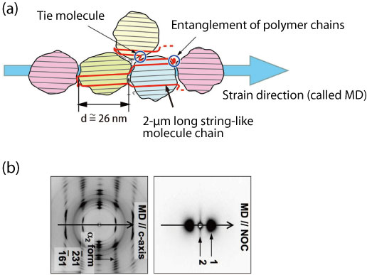 Fig. 3. Structures of nano-oriented crystals (NOCs)