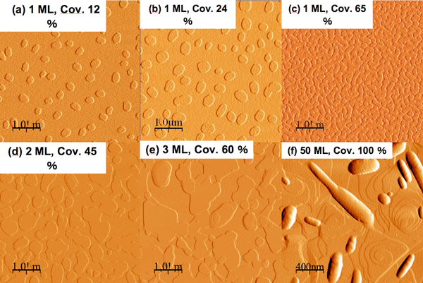 Fig. 1. AFM images of DS-2T evaporated films with hexyl groups on their terminals in the early stage of crystallization