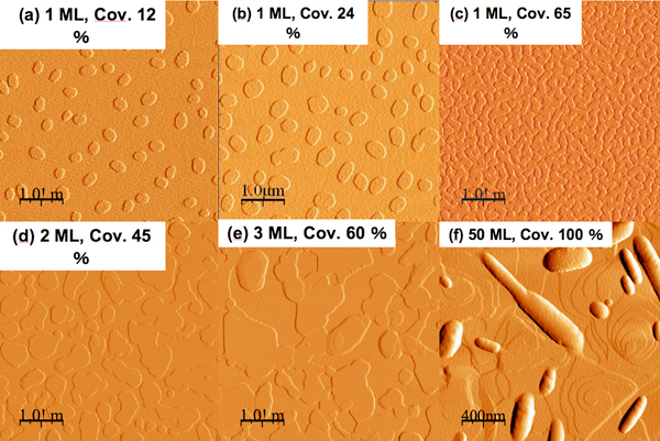 Fig. 1. AFM images of DS-2T evaporated films with hexyl groups on their terminals in the early stage of crystallization
