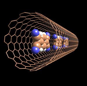 Fig. 2. Structural image of a carbon nanotube containing several organic molecules.