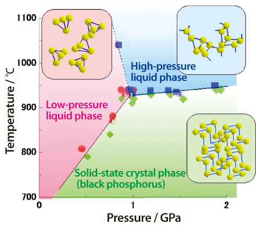 Fig. 1. Schematic plot of the temperature and pressure dependency of the phase transition of phosphorus