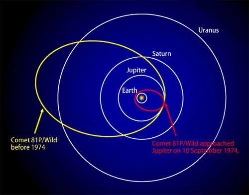 Fig. 2 Orbits of Comet 81P/Wild and main planets in the solar system.