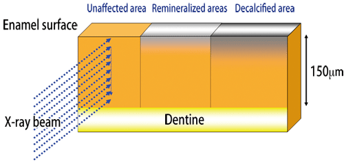 Fig. 2 Preparation of sample used for measurement at SPring-8.