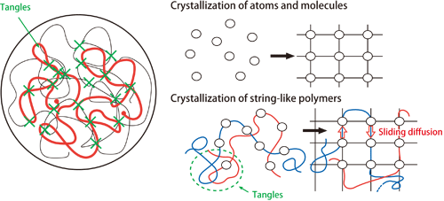 図1．Diagram of sliding diffusion theory of polymer crystallization