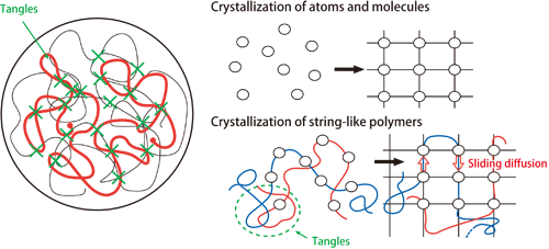図1.Diagram of sliding diffusion theory of polymer crystallization