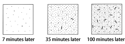 図2.Process of nucleus growth clarified from observed data obtained at SPring-8 (schematic)