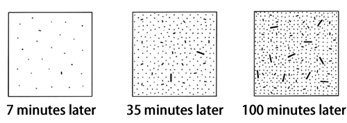 図2．Process of nucleus growth clarified from observed data obtained at SPring-8 (schematic)