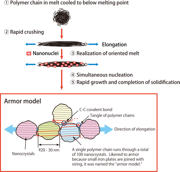 図3．Growth mechanism of NOCs