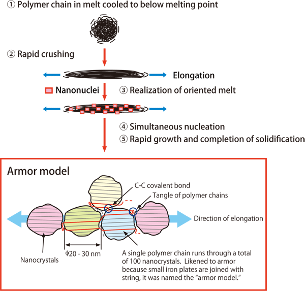 図3.Growth mechanism of NOCs