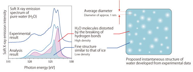 fig5．Proposed structure of water developed from previous experimental data of soft X-ray emission, small-angle X-ray scattering, and X-ray Raman scattering