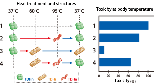 Fig. 1 Arrhenius effect of TDH produced by V. parahaemolyticus