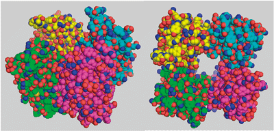 Fig. 2 Crystal structure of TDH