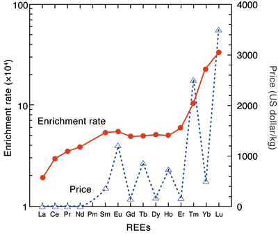 Fig. 2  Enrichment rate of REEs in bacteria compared with aqueous solution and price of REEs