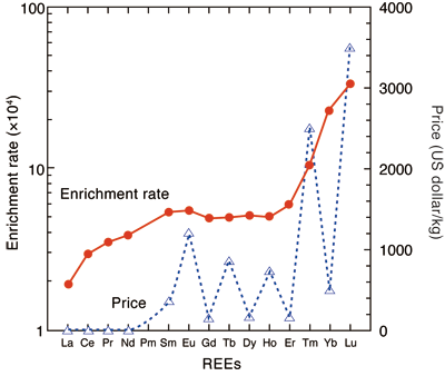 Fig. 2 Enrichment rate of REEs in bacteria compared with aqueous solution and price of REEs