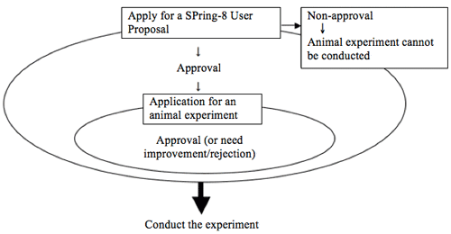 flow chart of the process up to the start of the animal experiment