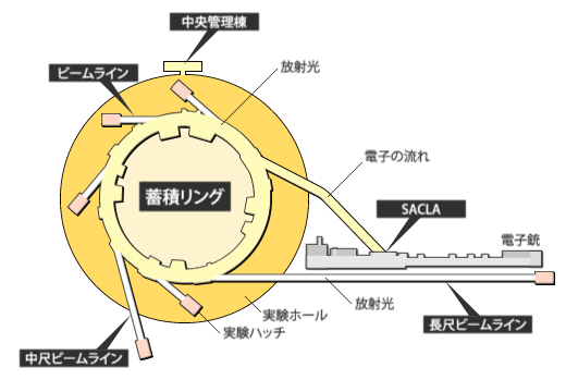 SPring-8の放射光発生概念図