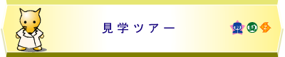 見学ツアー