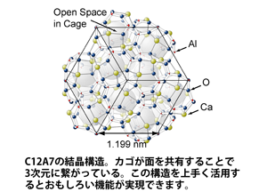 細野先生 概要図