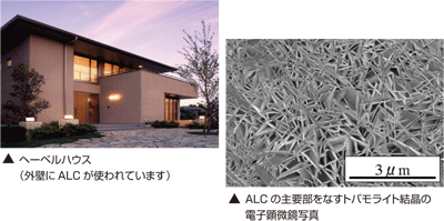 松野先生 概要図