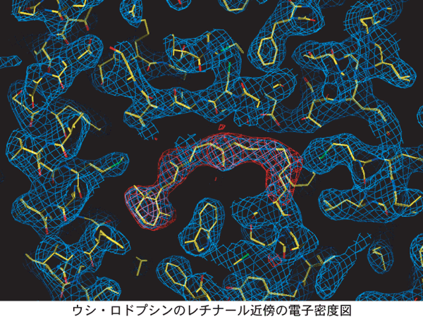 参考図２