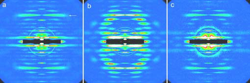 fig2.jpg