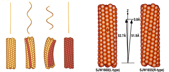 fig-1.gif
